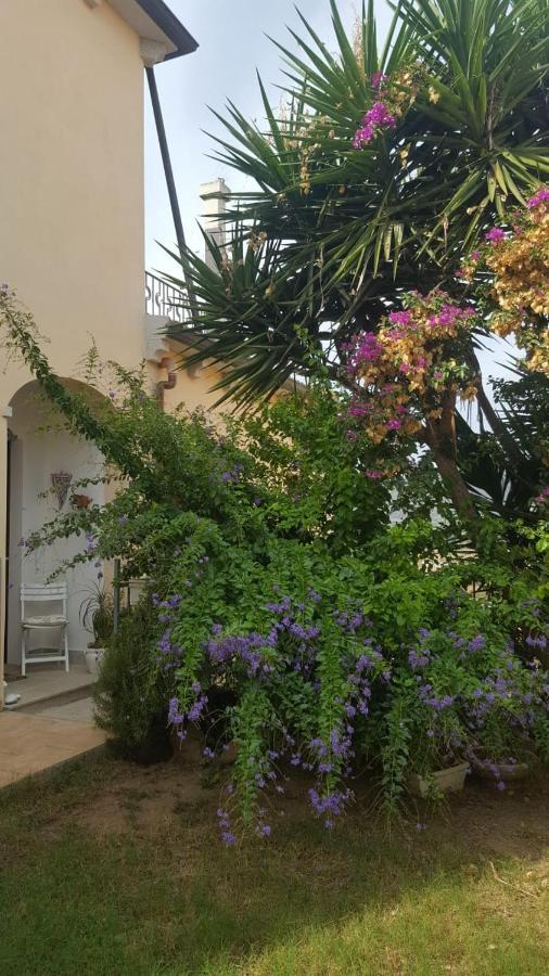 B&B Villa Orchidea Olbia Kültér fotó