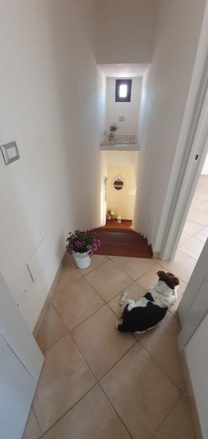 B&B Villa Orchidea Olbia Kültér fotó