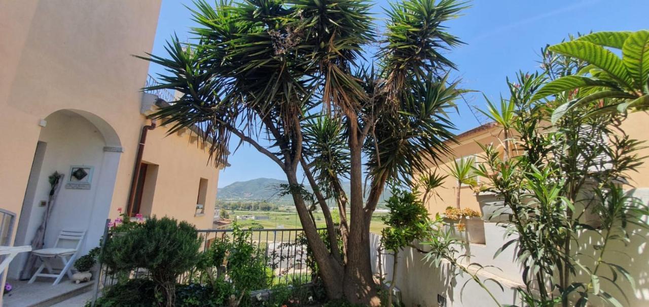 B&B Villa Orchidea Olbia Kültér fotó